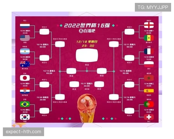 2026世界杯出线球队盘点：进入淘汰赛队伍完整整理